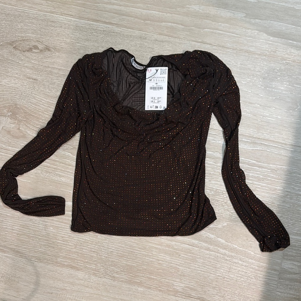 Zara Elegant Brown Long Sleeve Top New with tags